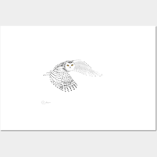 Snowy Owl Posters and Art